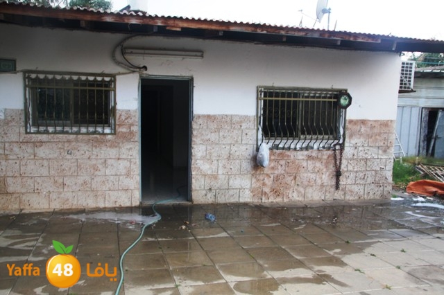 majarydakka (10).JPG